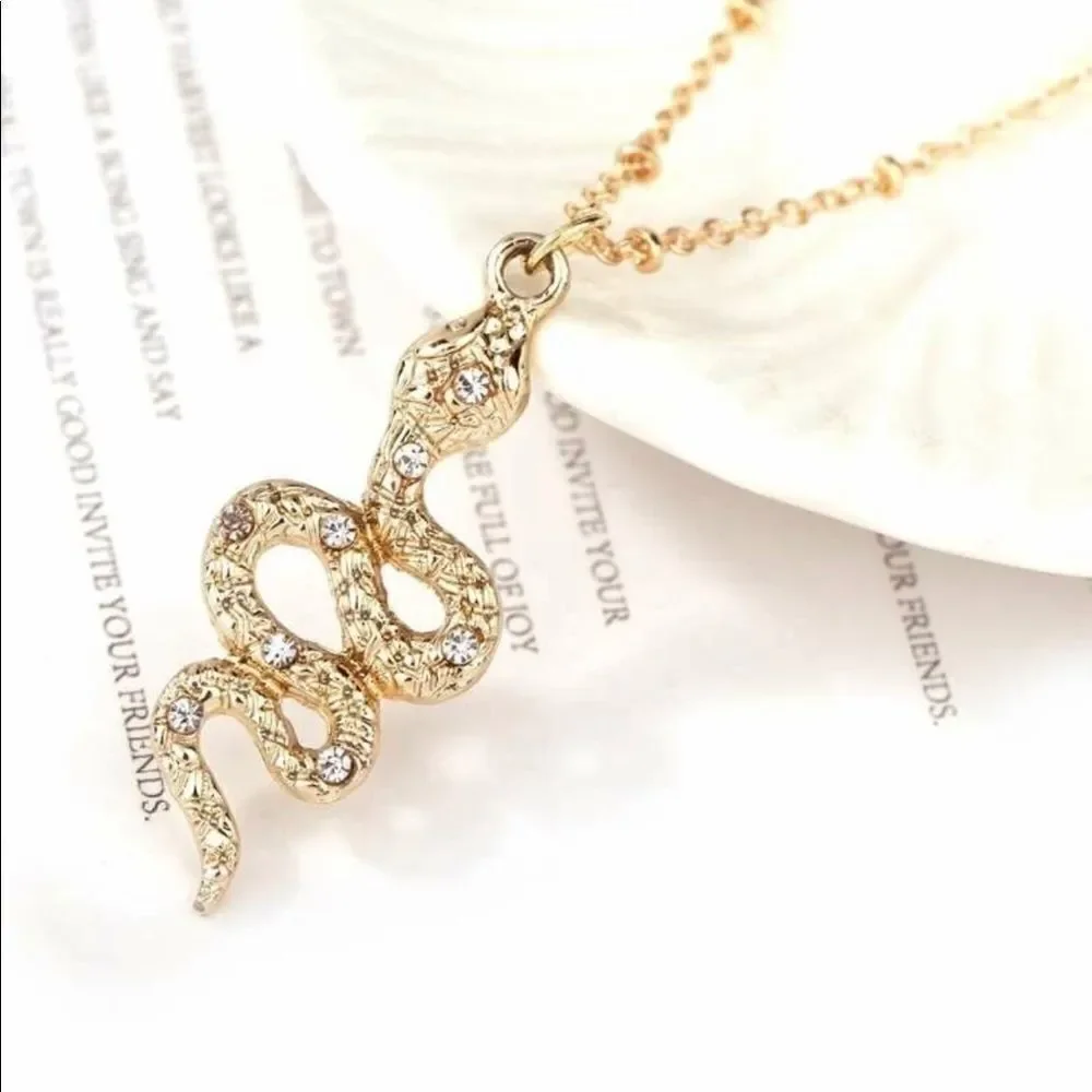 Snake Necklace set